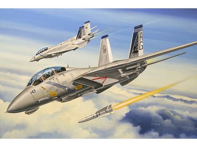 l_hobby-boss-80277-f14b-tomcat_