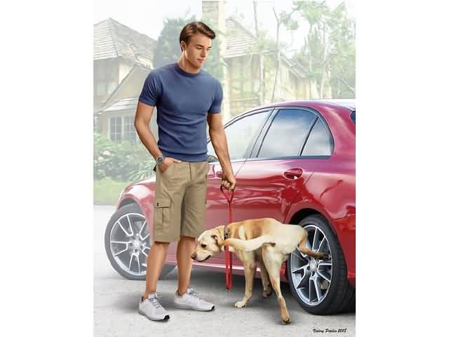 l_masterbox-24049-bart-and-radley-dog-what-he-really-thinks-of-your-car
